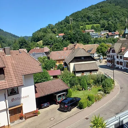 Zum Schuetzen Affittacamere Oberprechtal